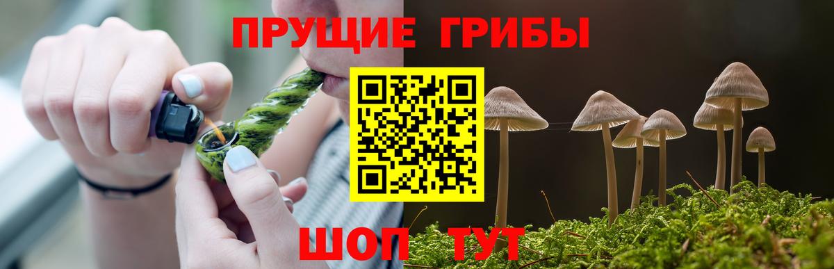 Галлюциногенные грибы прущие грибы Кирово-Чепецк